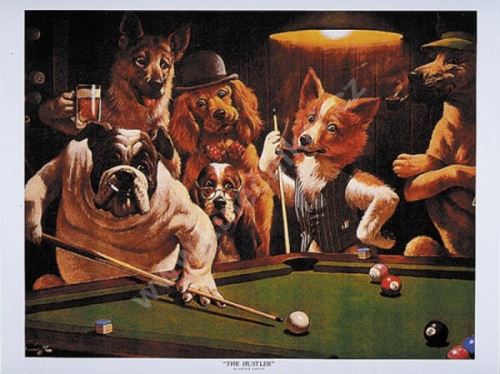 Kulečníkový plakát Dogs - The Hustler