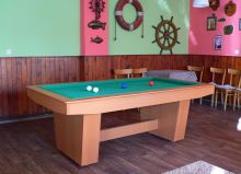 Carom Billiards ENTRY (19)